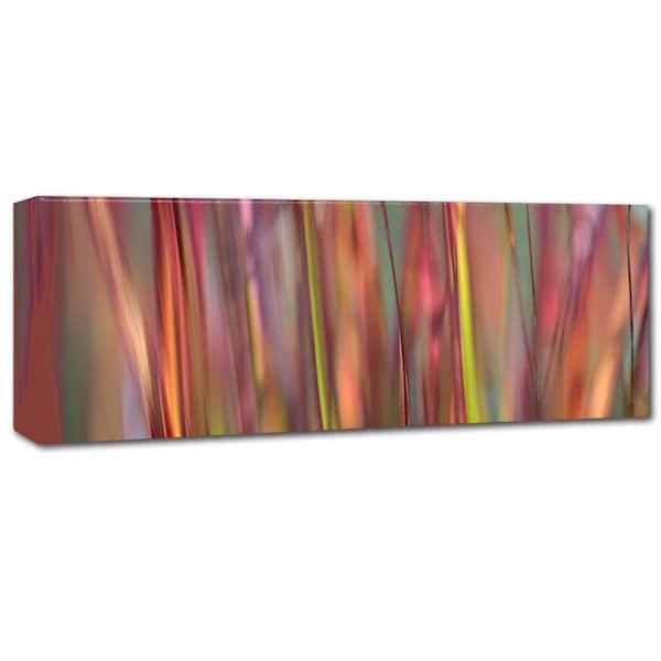 Cora Niele 'Imperata Grass Scape' Canvas Art,10x32